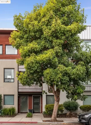 Photo #2: 41116202 Listing