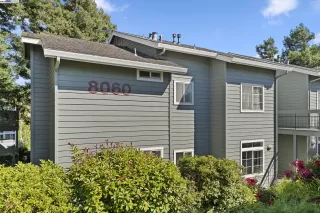 Photo #1: 41116442 Listing 