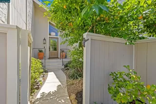 Photo #1: 41116447 Listing 