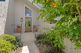 Photo #2: 41116447 Listing 