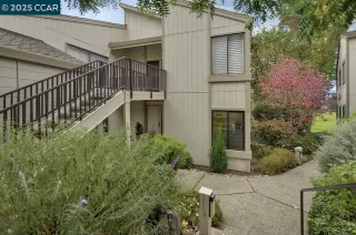 Photo #1: 41117053 Listing