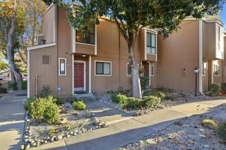 Photo #1: 41117087 Listing 