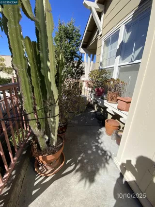 Photo #1: 41117344 Listing 