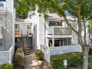 Photo #5: 41117468 Listing 