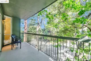 Photo #5: 41117486 Listing 