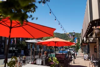 Primary Photo for MLS#: 41118153