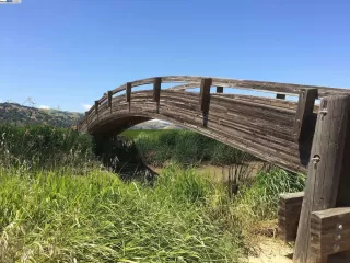 Photo #1: 41118153 Listing 