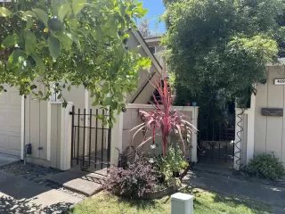 Photo #2: 41118153 Listing 