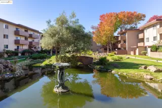 Photo #1: 41118173 Listing 