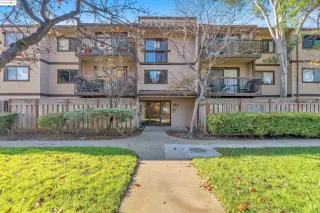 Primary Photo for MLS#: 41118262