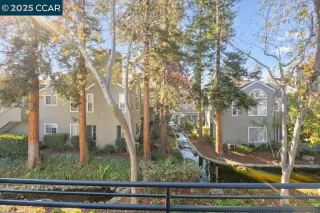 Primary Photo for MLS#: 41118293