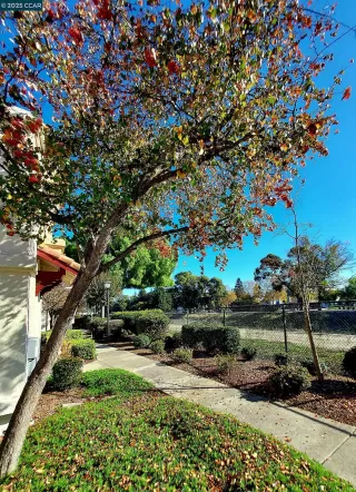 Photo #3: 41118633 Listing 