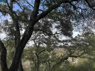 Primary Photo for MLS#: 41118910