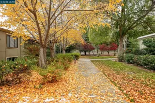 Photo #1: 41118990 Listing