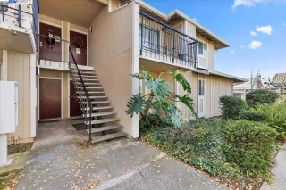 Photo #1: 41119039 Listing