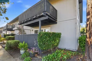 Photo #1: 41119098 Listing