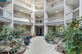 Photo #4: 41119153 Listing