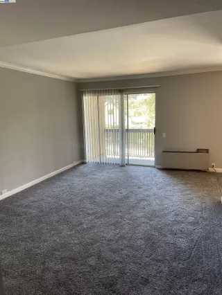 Photo #1: 41119236 Listing 