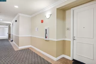 Photo #2: 41119715 Listing