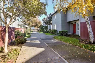 Photo #1: 41119819 Listing 