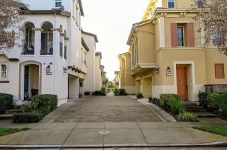 Photo #1: 41119935 Listing 