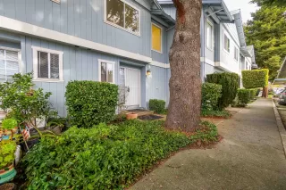 Photo #3: 41120077 Listing