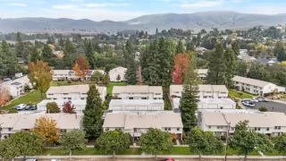 Photo #1: 41120273 Listing 