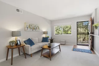 Primary Photo for MLS#: 41120355