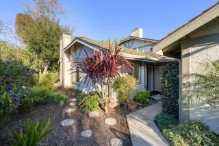 Primary Photo for MLS#: 41120506