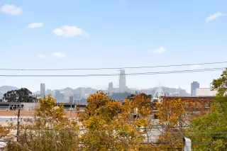 Photo #1: 41120675 Listing 