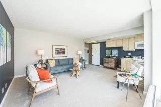 Photo #1: 41120888 Listing