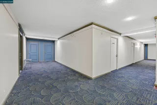 Photo #4: 41120926 Listing