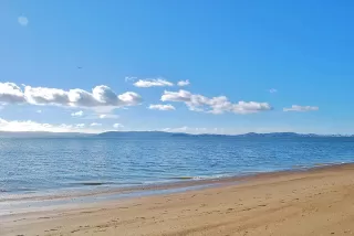 Photo #3: 41120929 Listing 