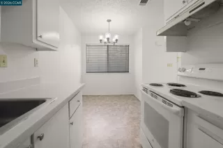 Photo #6: 41121097 Listing 