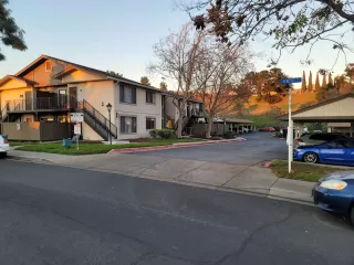 Photo #1: 41121142 Listing 