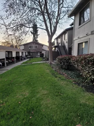 Photo #3: 41121142 Listing 