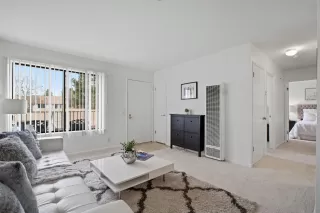 Photo #5: 41121801 Listing 