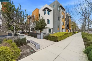 Photo #1: 41122139 Listing 