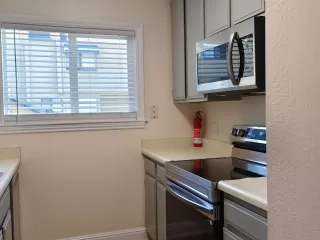 Photo #5: 41122242 Listing 