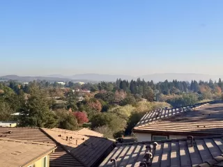 Photo #2: 41122360 Listing