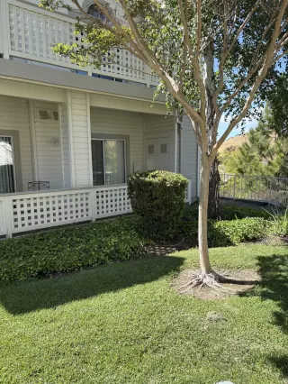 Photo #2: 41122373 Listing