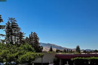 Photo #3: 41122539 Listing 