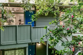 Photo #1: 41122556 Listing 