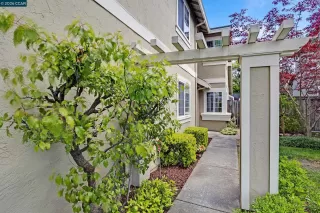 Photo #5: 41122713 Listing 