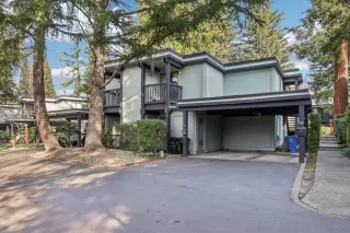 Primary Photo for MLS#: 41123014