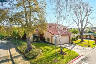 Photo #1: 41123052 Listing 