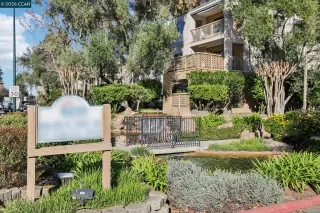 Photo #1: 41123271 Listing 