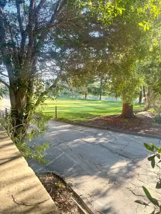 Photo #4: 41123566 Listing