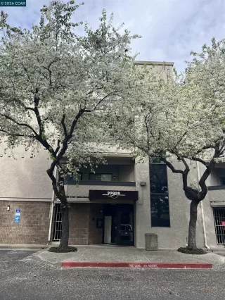 Browse active condo listings in BRIDGEPORTE