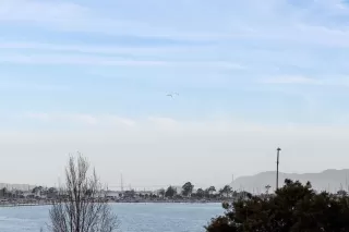 Photo #6: 41123745 Listing 